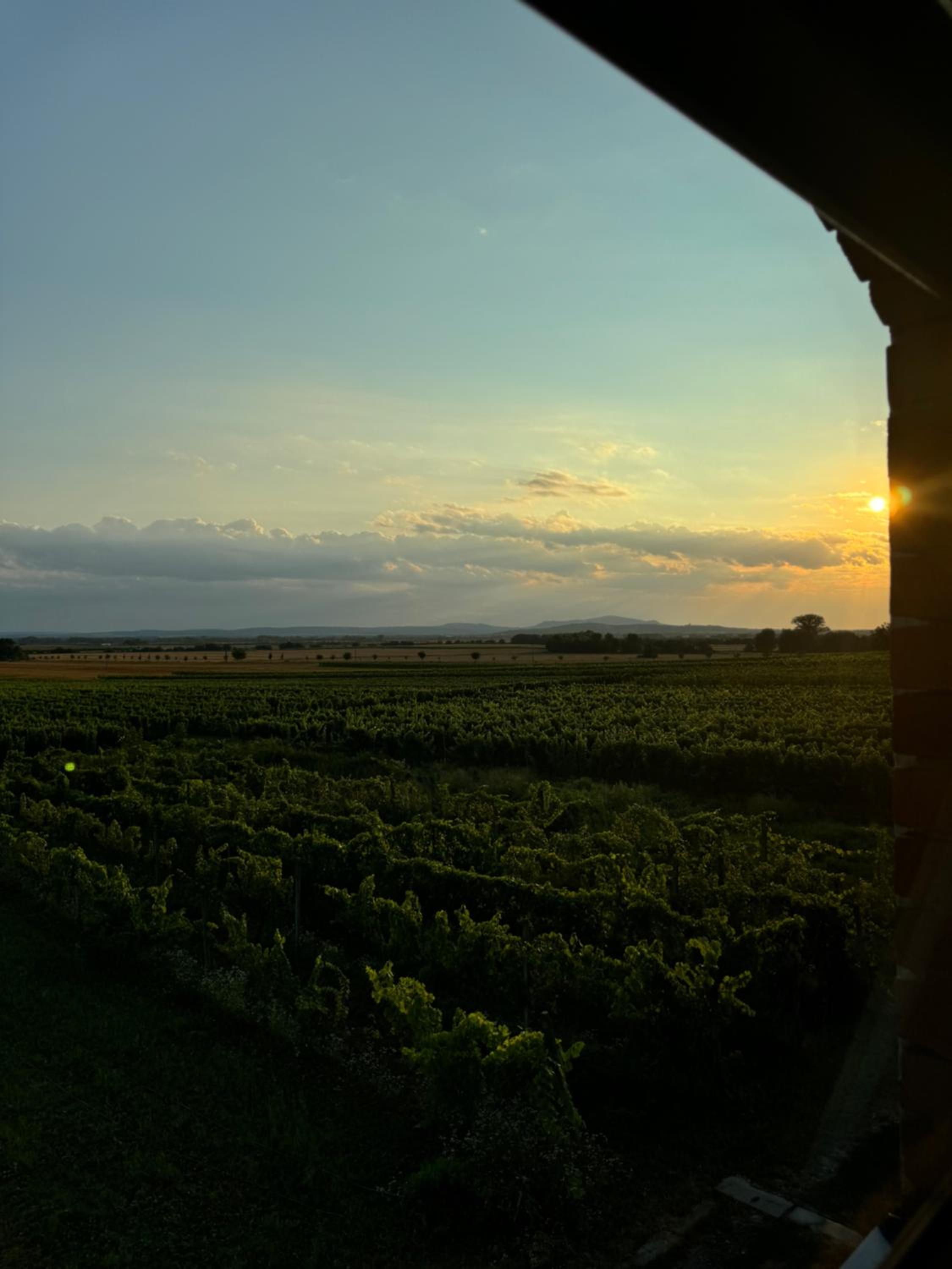 Ubytování ve vinném sklepě - Velké Bílovice