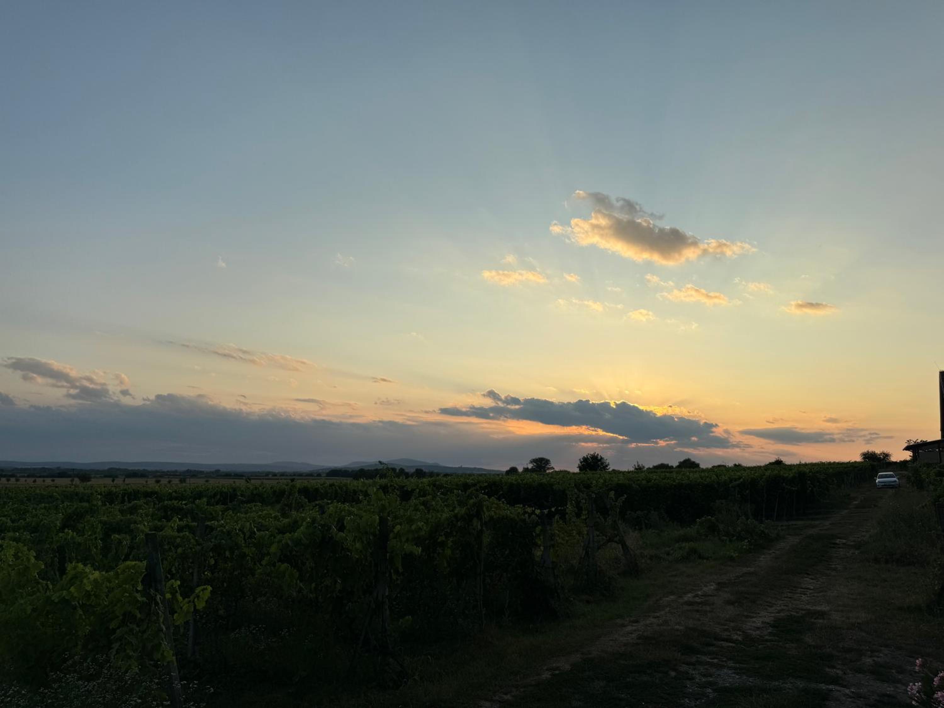 Ubytování ve vinném sklepě - Velké Bílovice