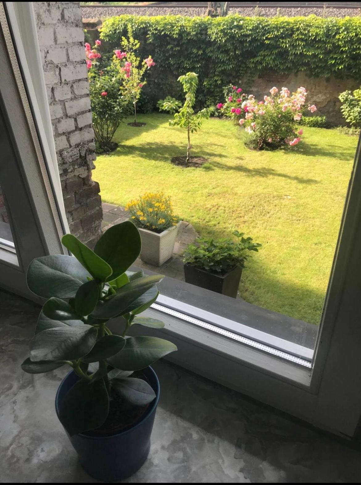 Apartment, parterre, für 3 Gäste, Zentral gelegen, Mitsubishi Halle