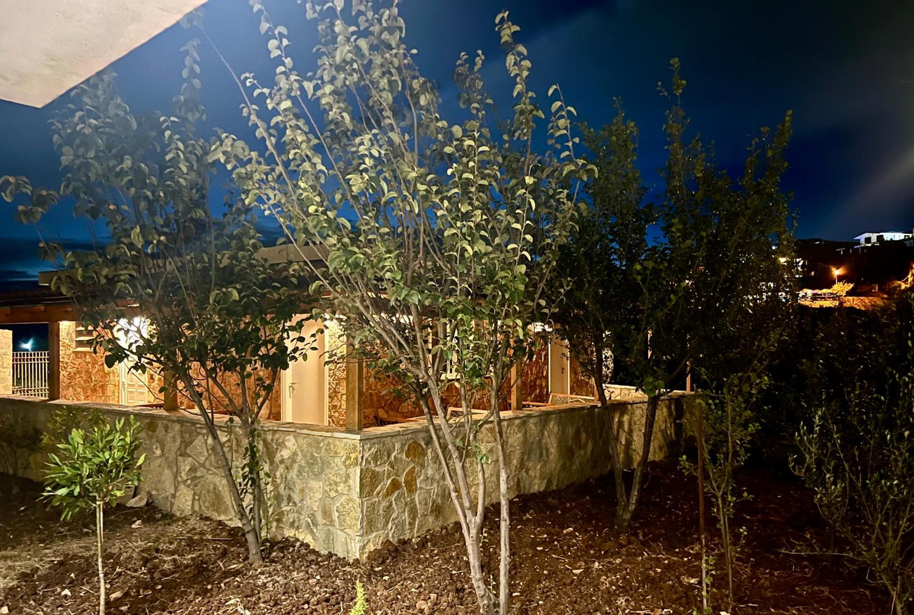 Jardin miraculeux