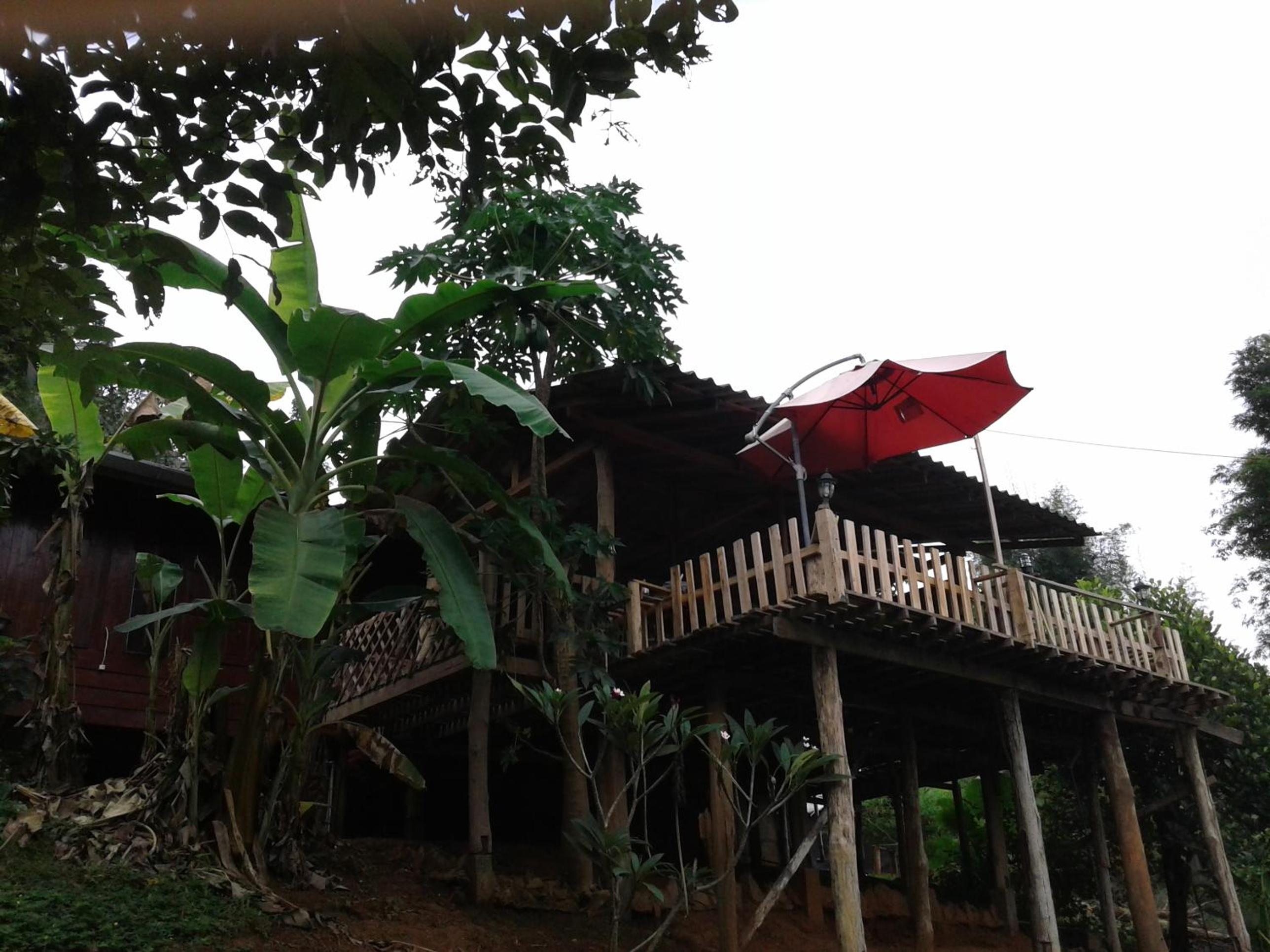 Forest Guesthouse