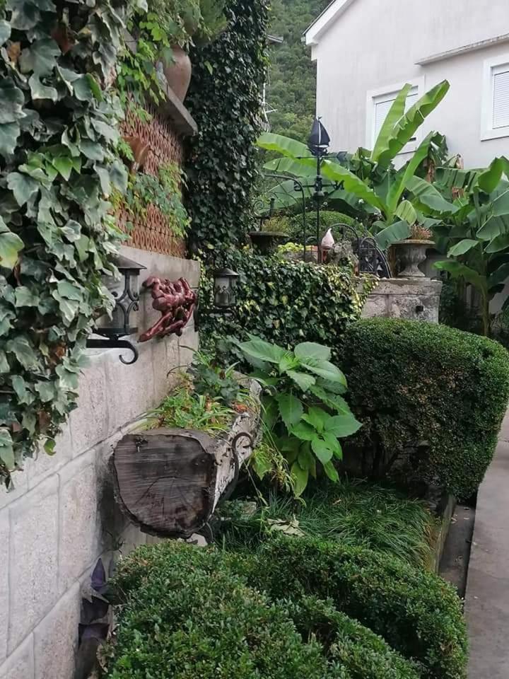 Apartmani Njivice