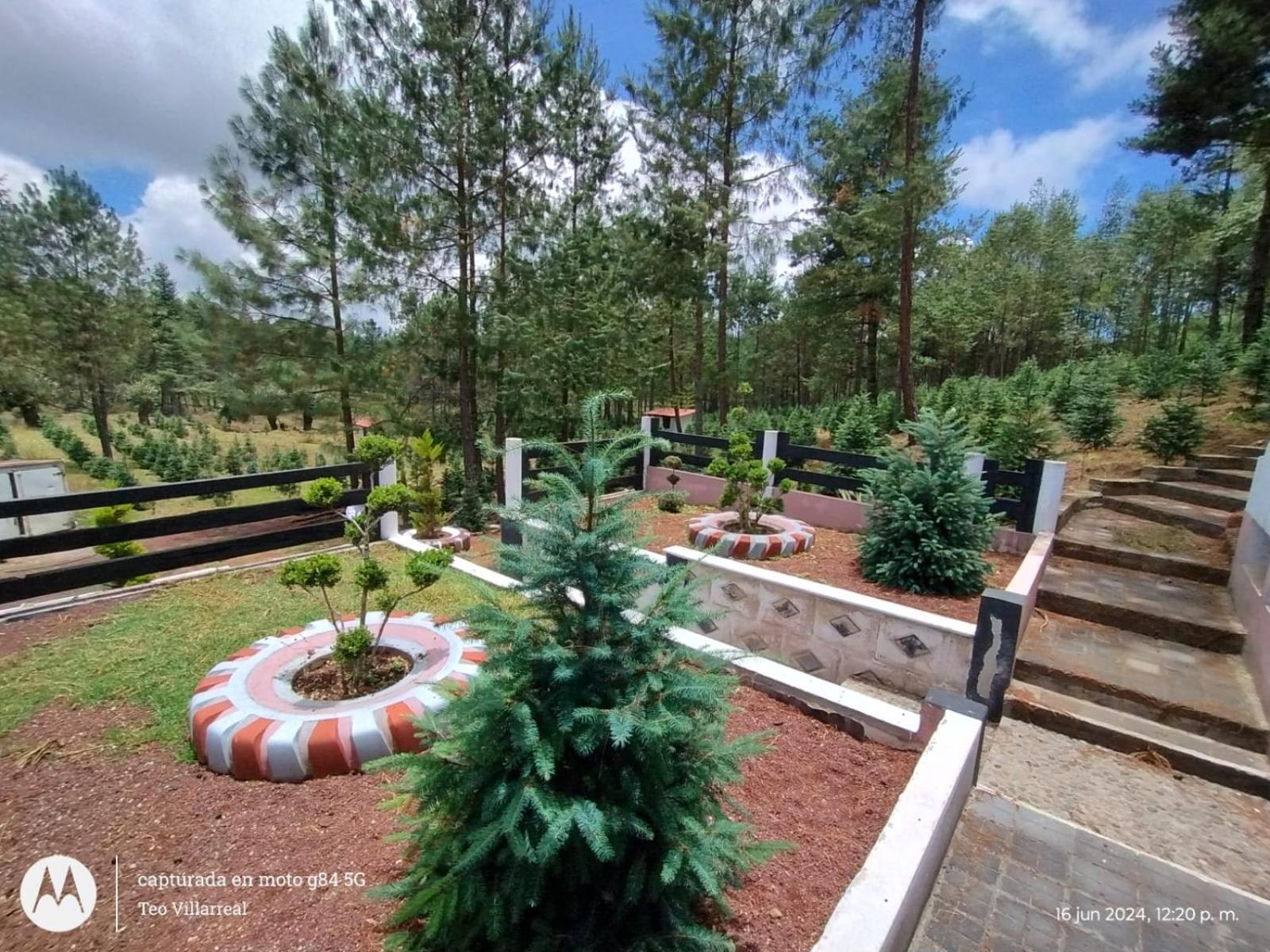 Rancho El Plantel view 3