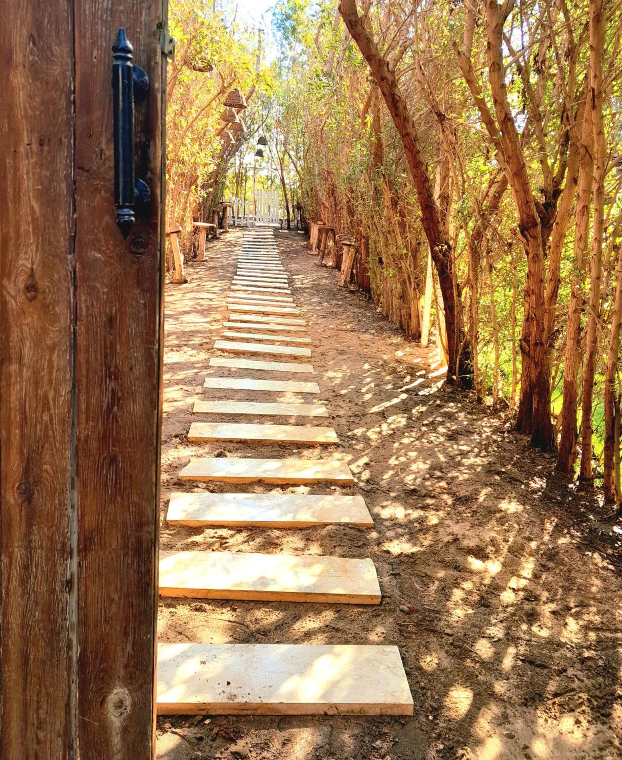 iBiZa Hostel