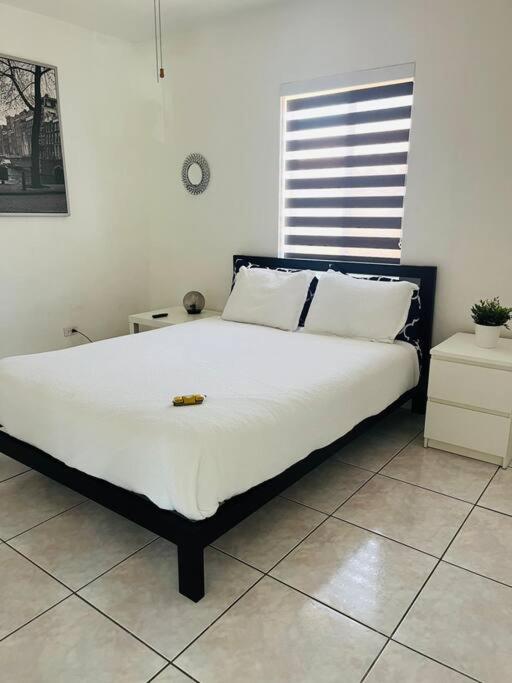 Ana House in Miami