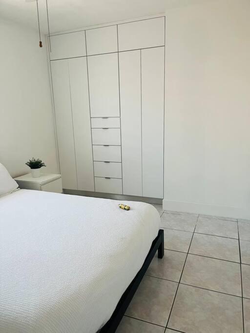 Ana House in Miami
