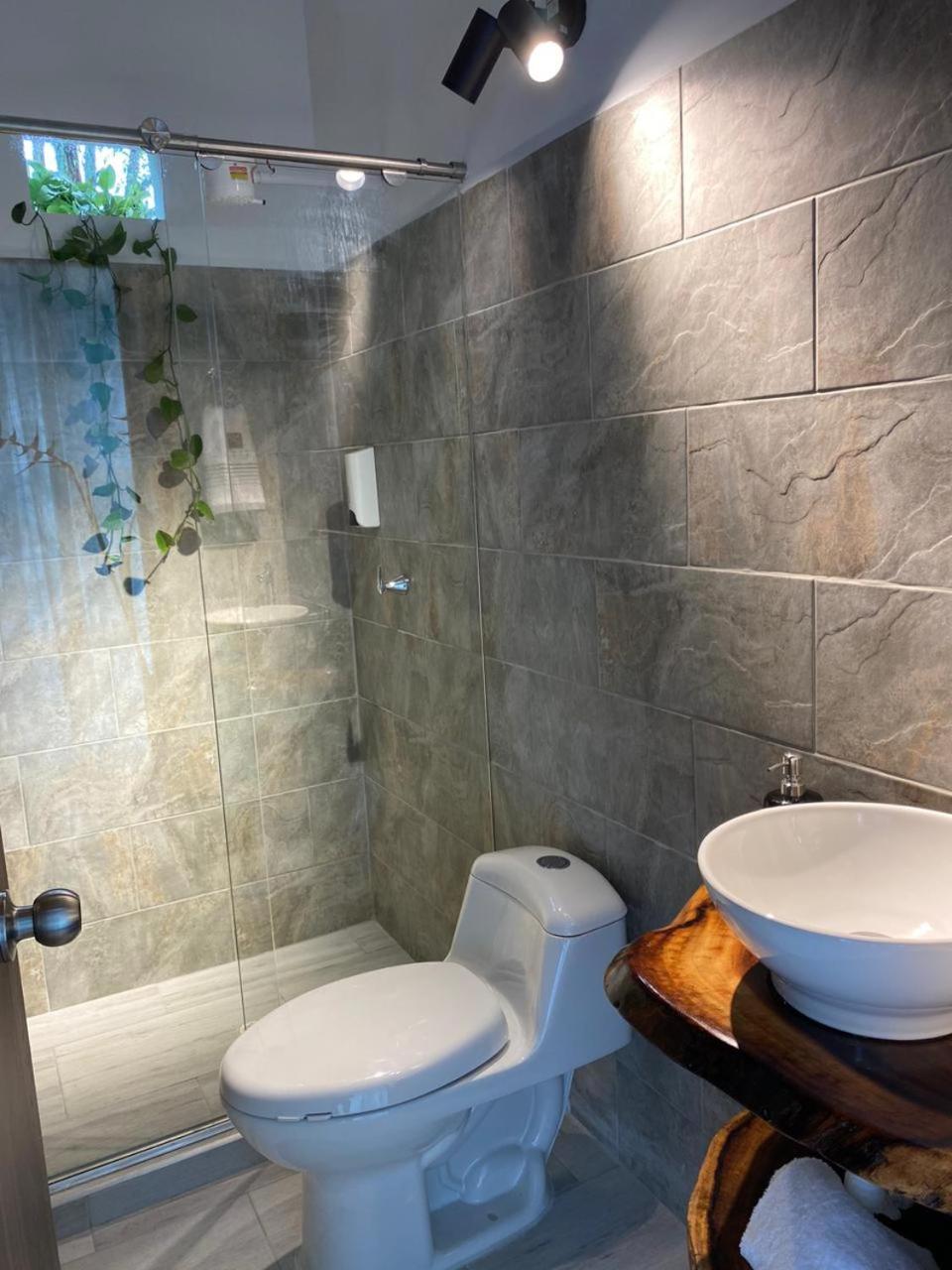 Ziwa Ecohotel Roldanillo Valle - Cabaña Lewa
