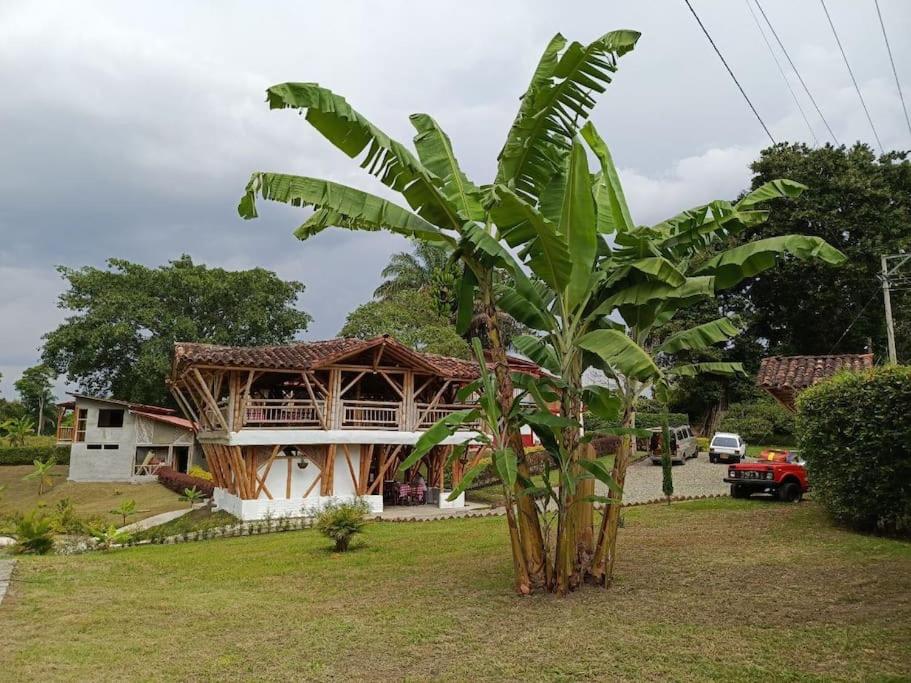Paraíso Campestre La Tribu