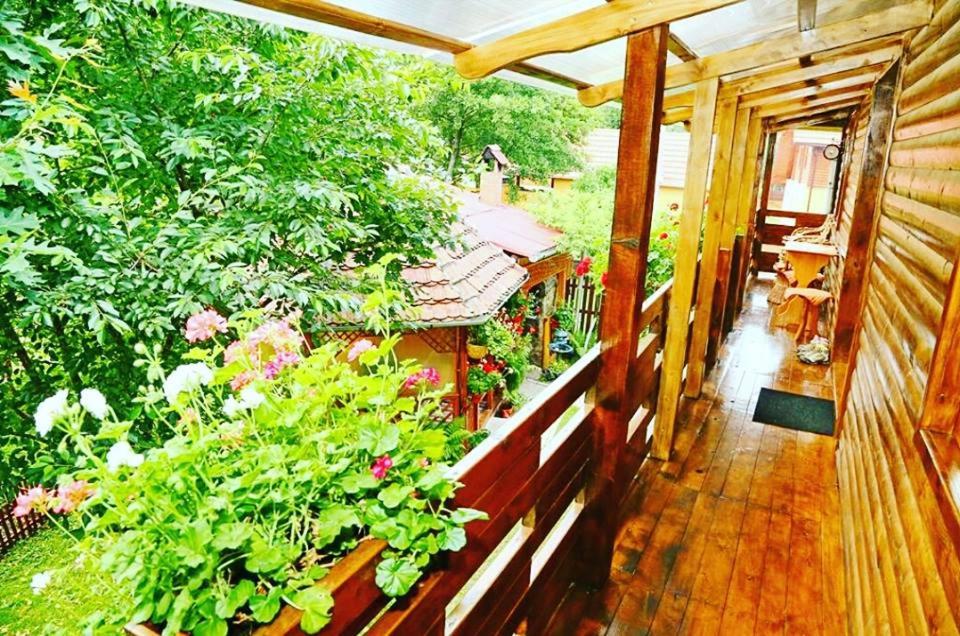 Casa Bunicii