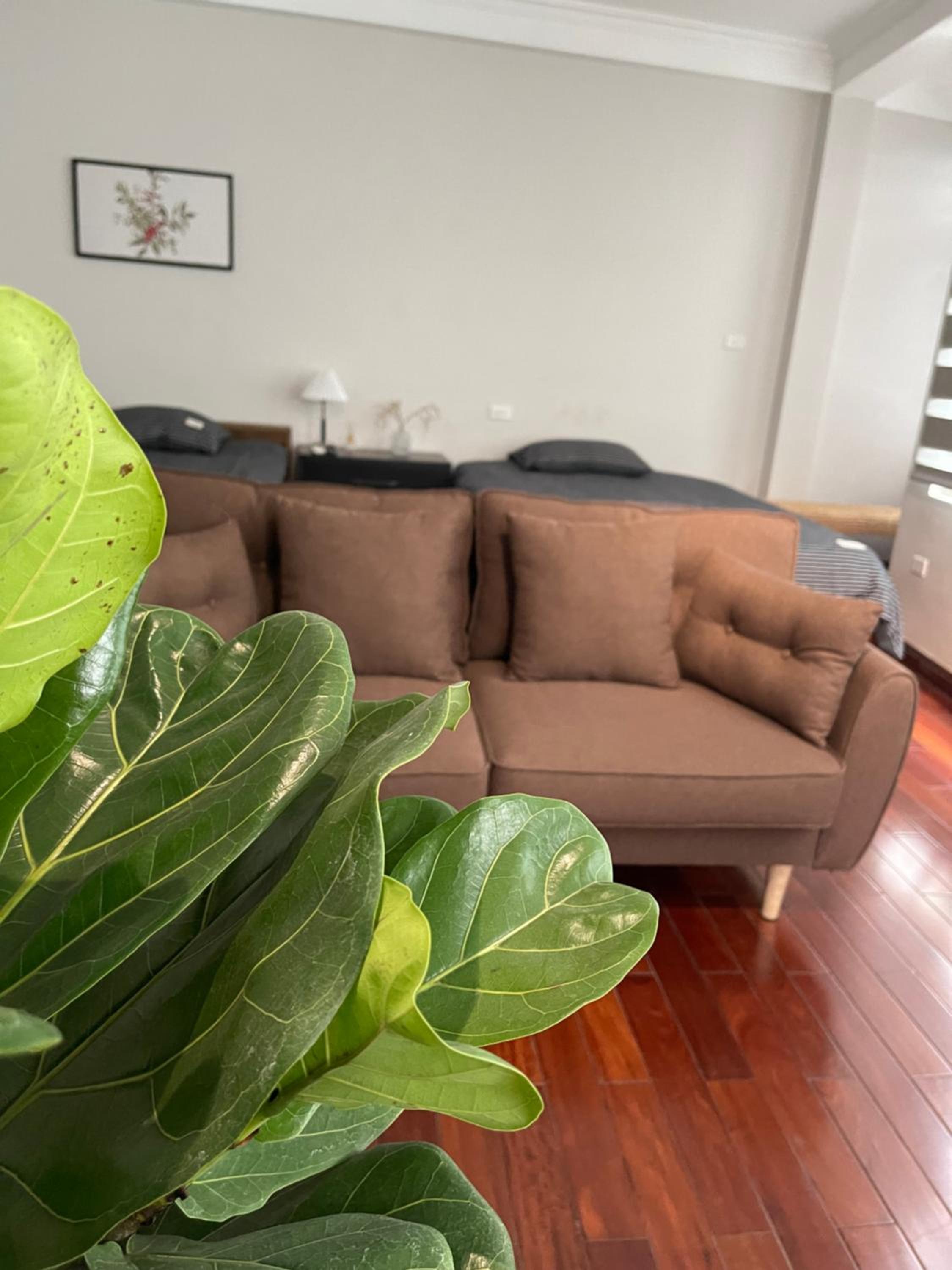 Old Quarter-Private Quiet Central Entire Rental-Peaceful Central Suites