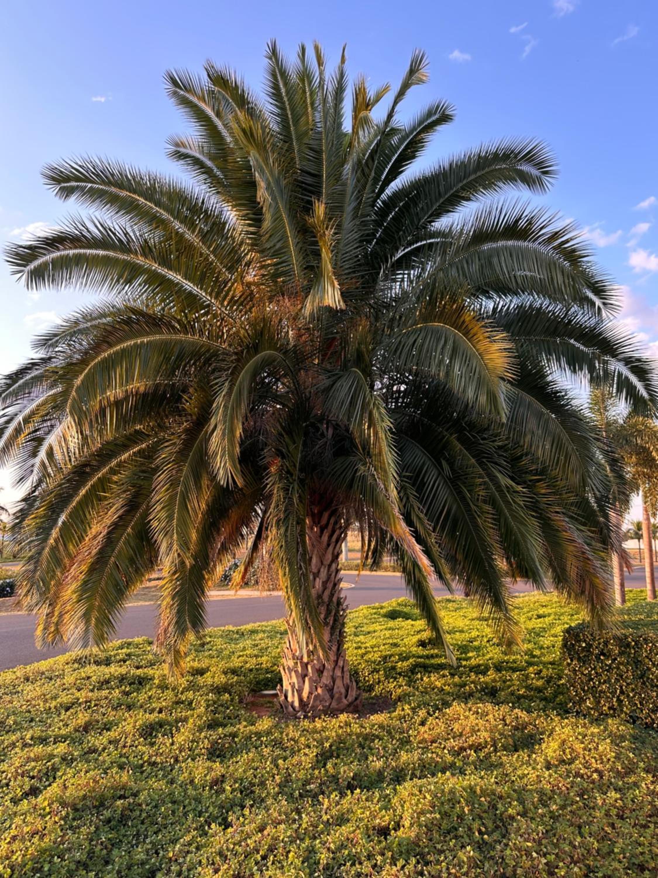 Casa de campo flamingo no Riviera de santa Cristina VIII