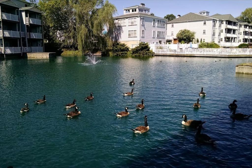 Miscellaneous Market Vacations - Monthly Furnished entire condo in Newark,Delaware - Property Image 2