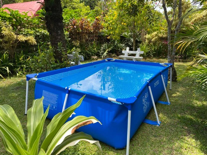 Vacation Garden Home with kiddie pool, central aircon, Netflix, billiards, table tennis and karaoke view 4