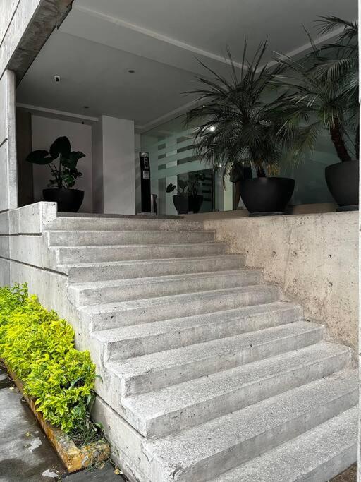 Beautiful and renewed apartment — Mexico City