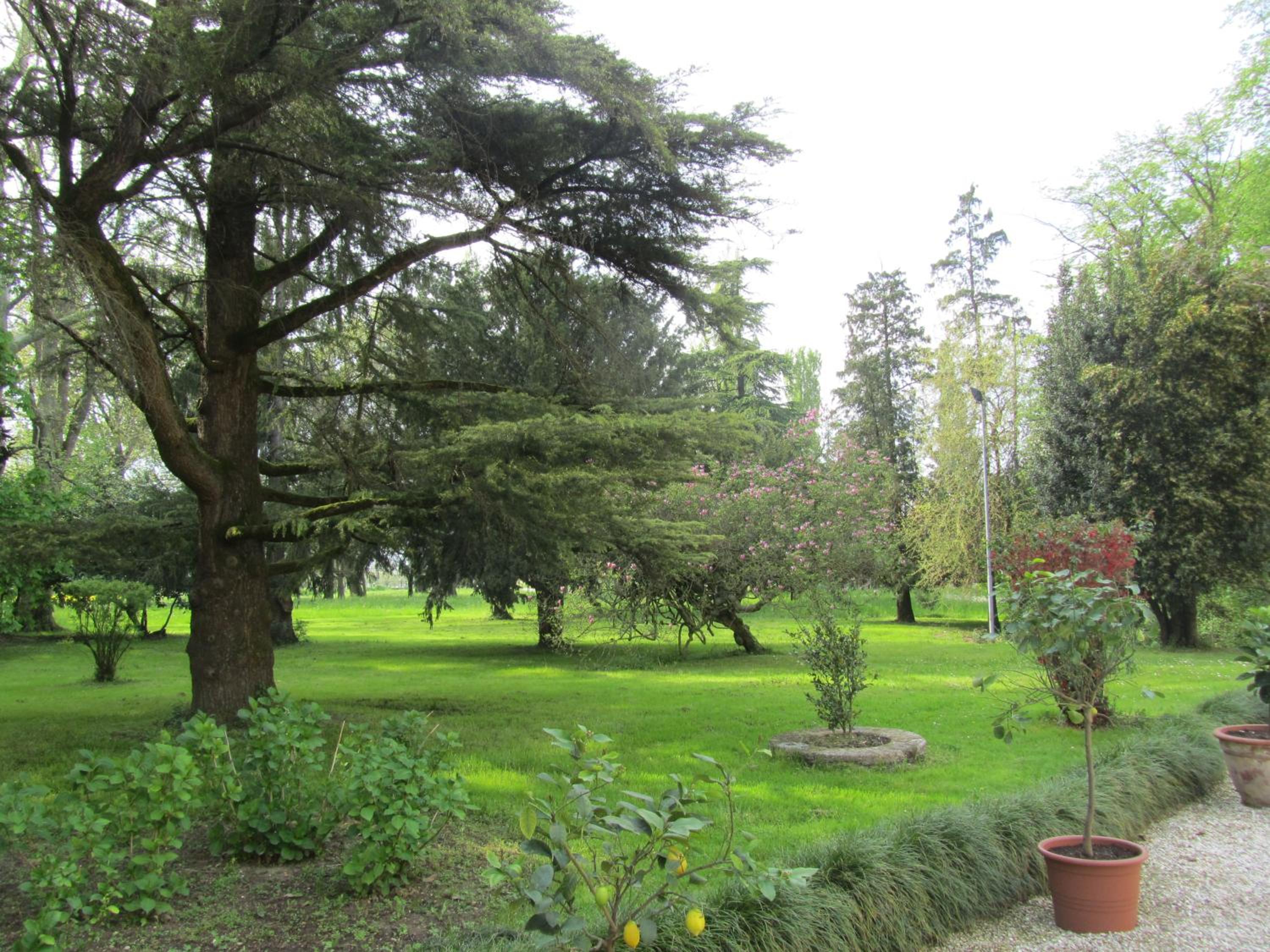 Agriturismo Villa Selvatico view 4