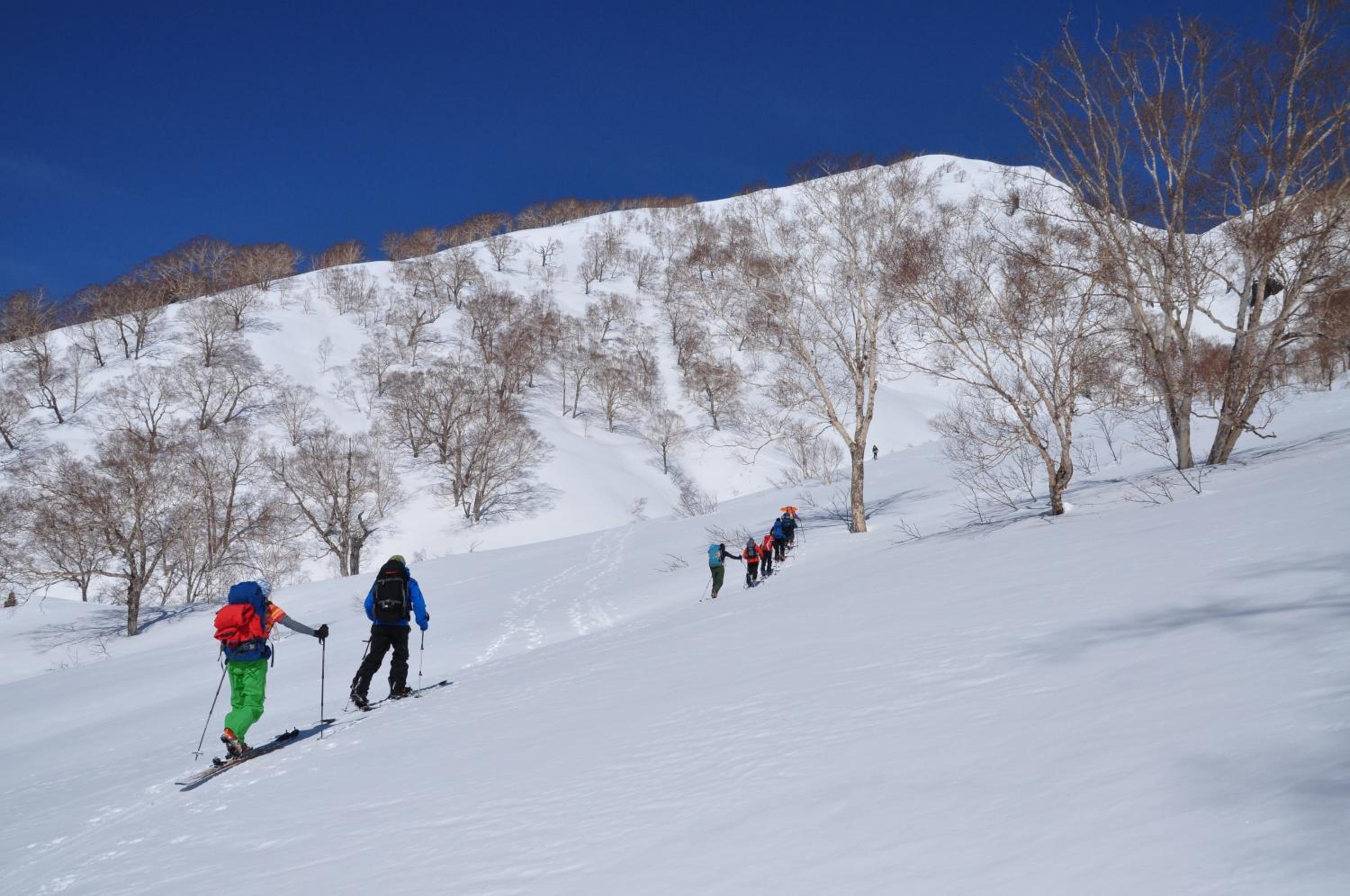 Hakuba Hospitality Inn YUKINOSO
