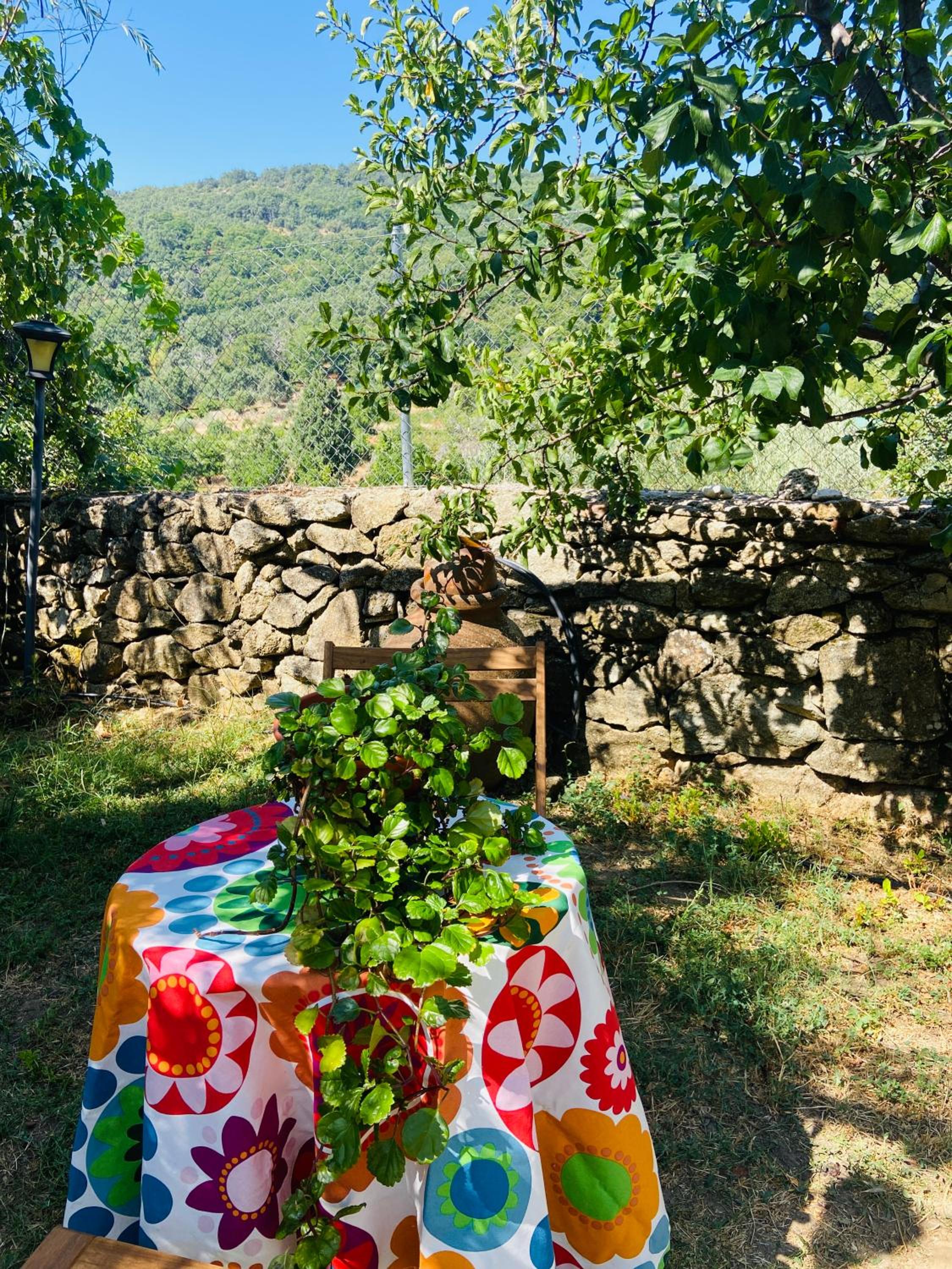La Casa de Cadia I view 5