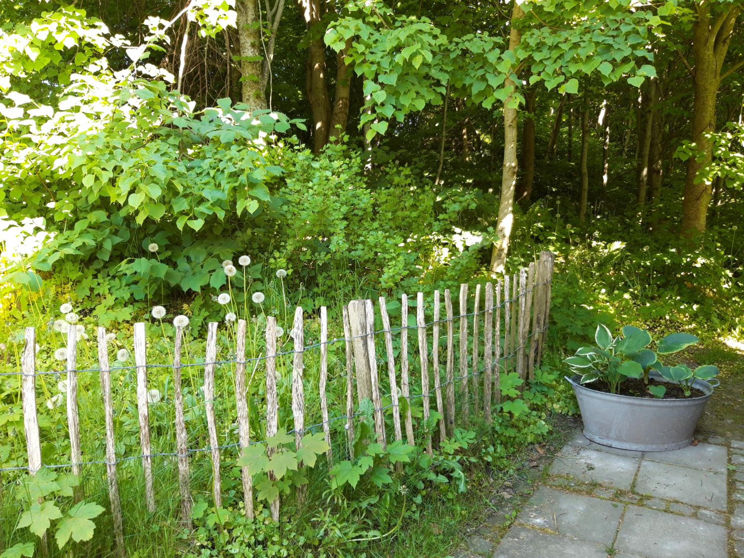 Krogsgaarden B&B