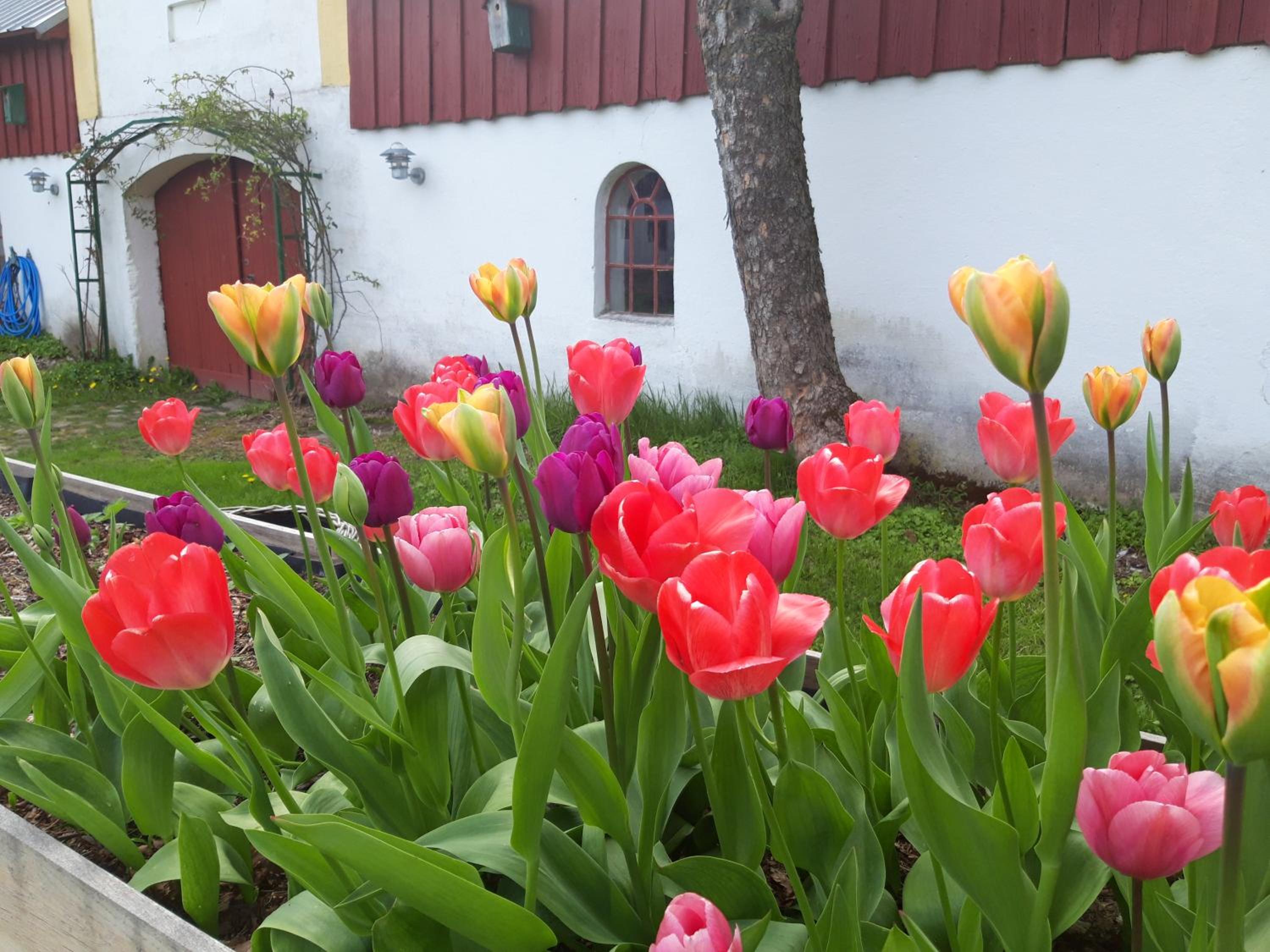 Krogsgaarden B&B