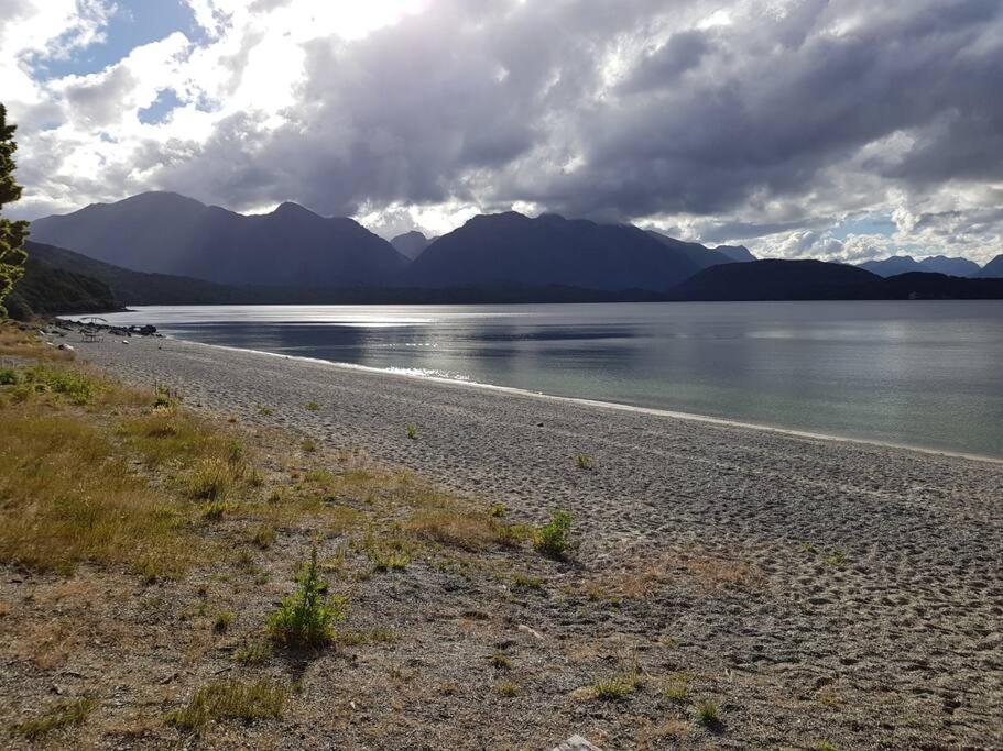 Manapouri Beech