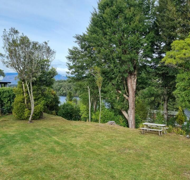 Manapouri Beech