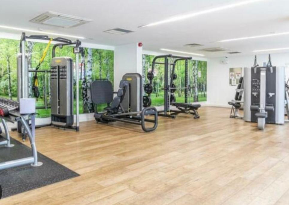 Luxury Apartment Lewisham - Zone 2