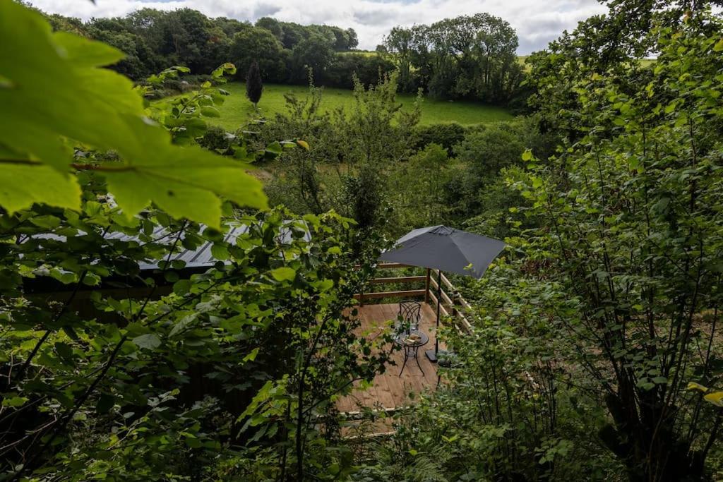 Fern Lodge