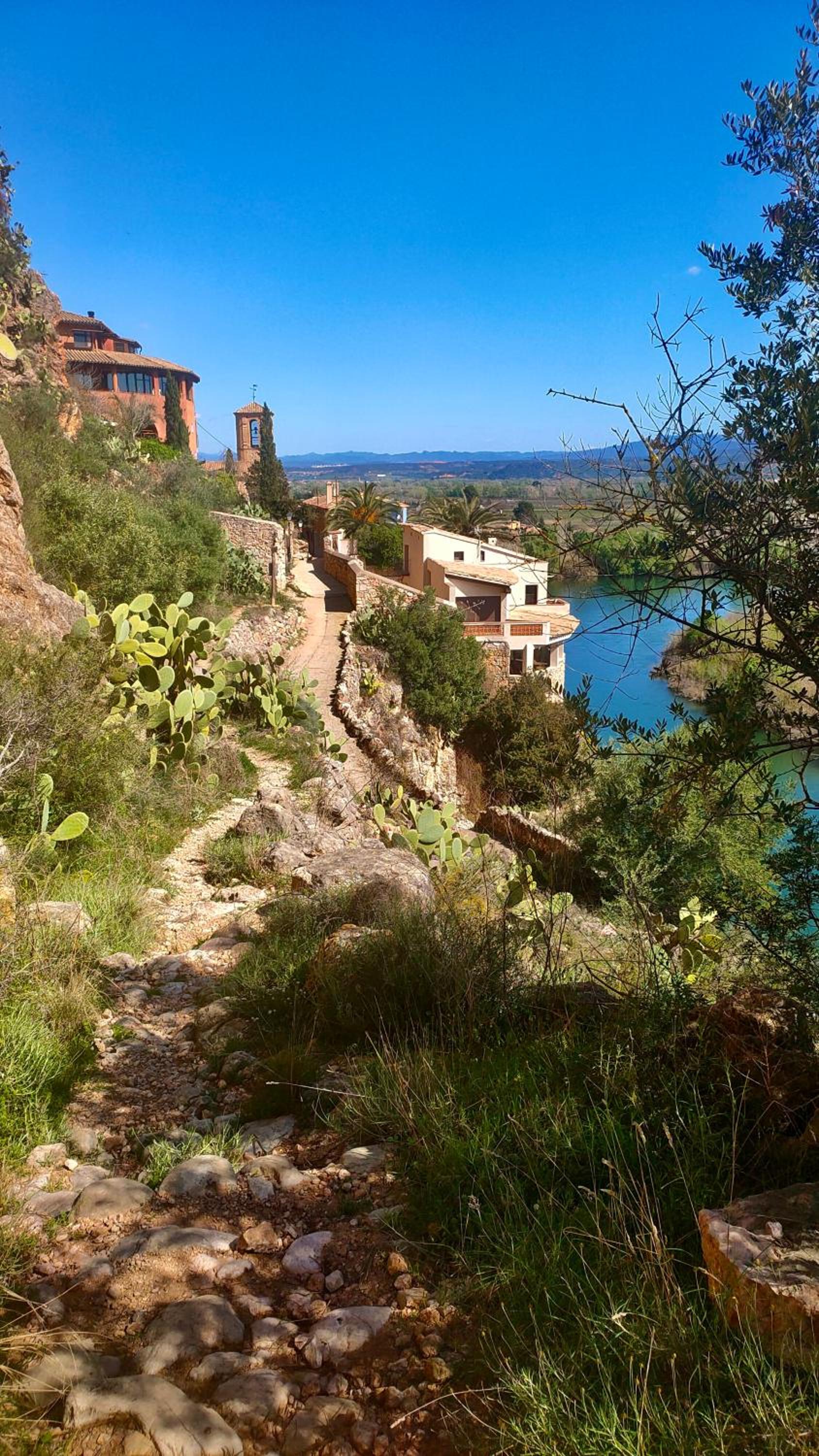ebrevista