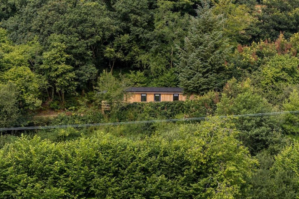 Fern Lodge