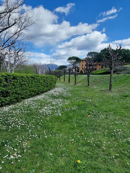 Como Lake Green Oasis view 2