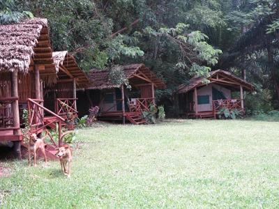 Simbamwenni Lodge and Camping