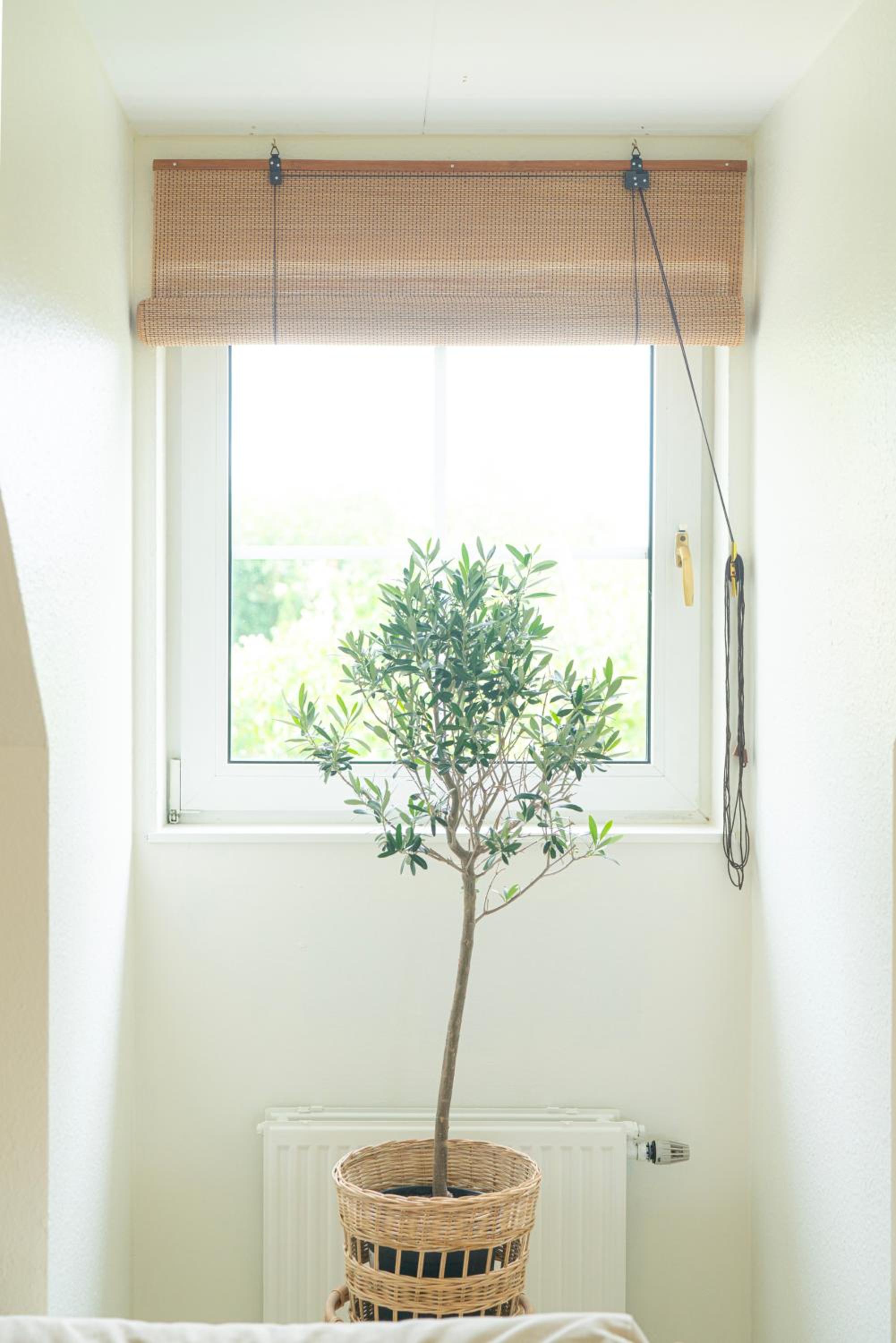 Falsterbo - Sea Breeze Apartment