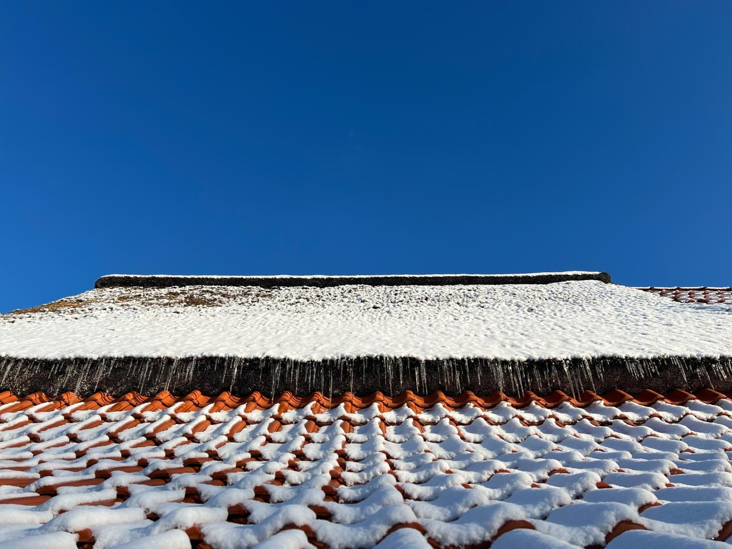 Lindenhuus-Urlaub unter einem Teilreetdach-Terrasse - Nahe Norden-Norddeich