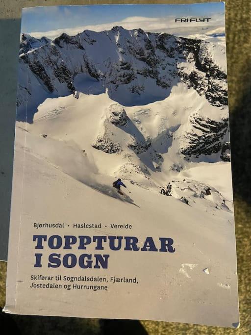 Hytte i flott natur og nær breen view 5