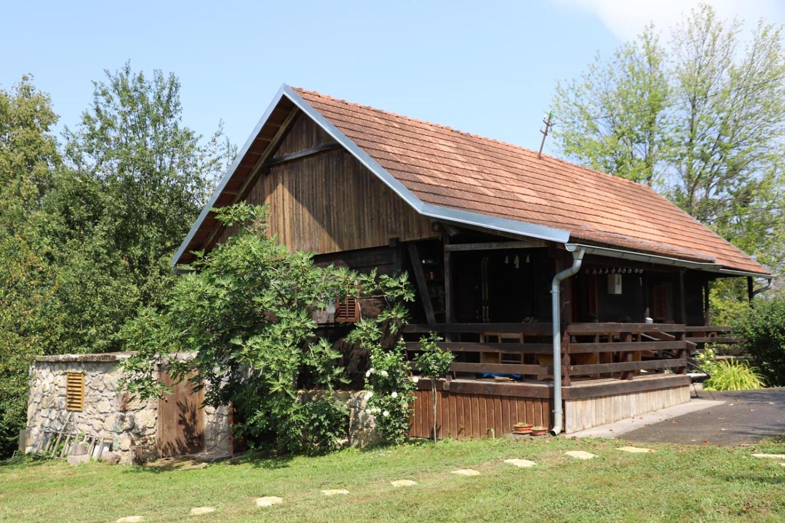 Wooden house Mali Vrh view 5