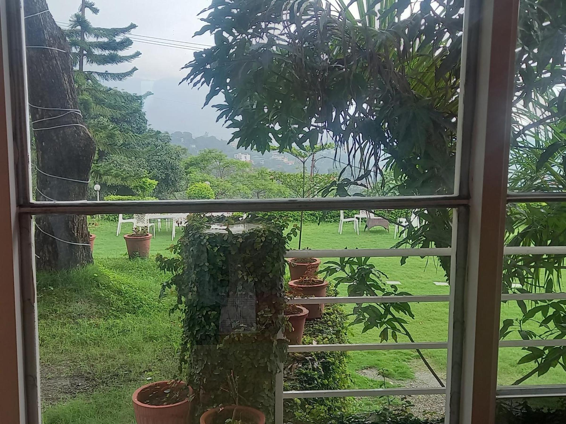 Hilltop homestay