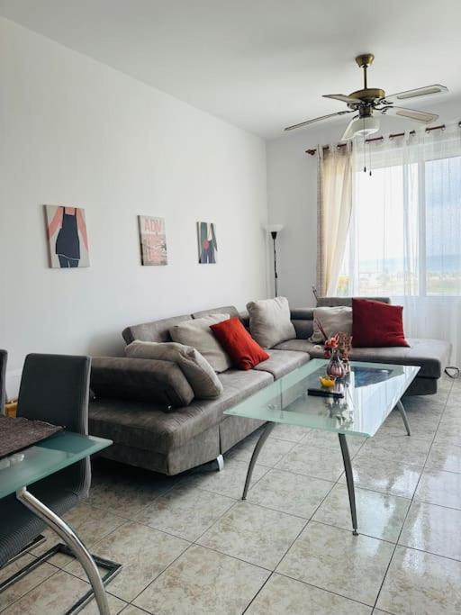 Apartments with a luxurious location near the sea