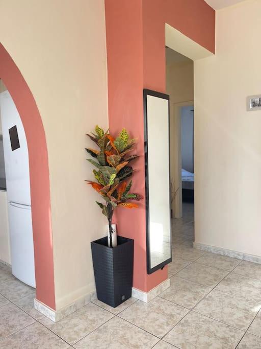 Apartments with a luxurious location near the sea