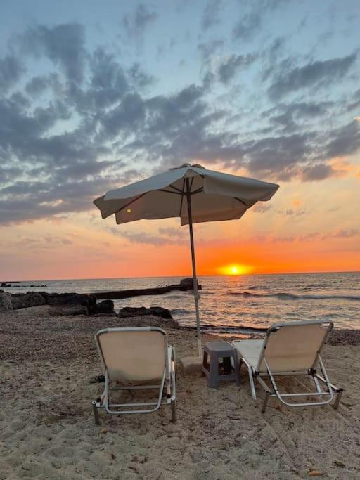 Apartments with a luxurious location near the sea
