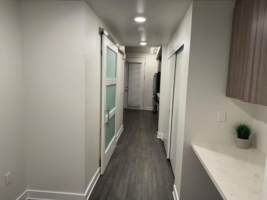 Stylish and Elegant apartment