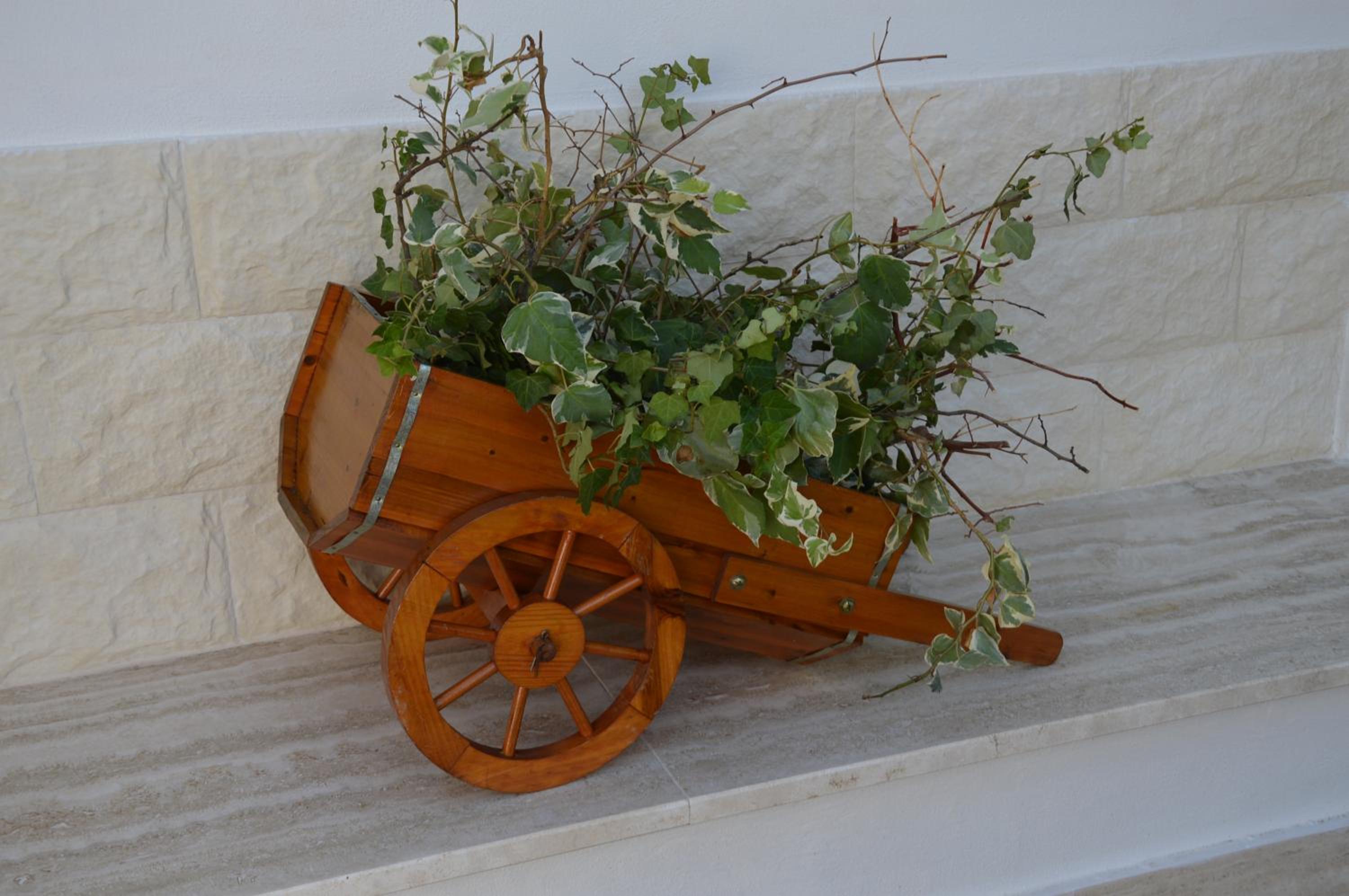 Photo 40