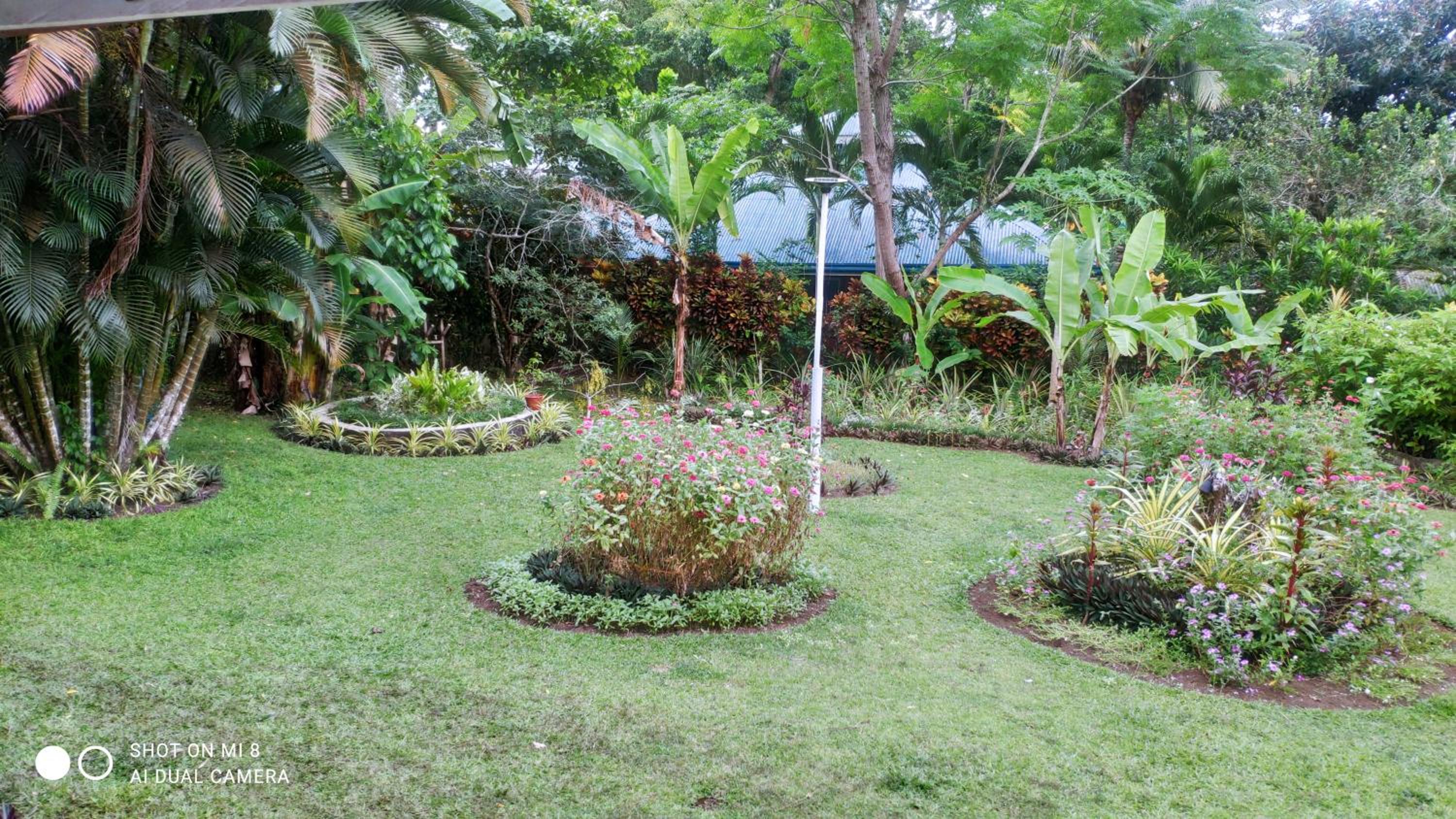 Photo 199