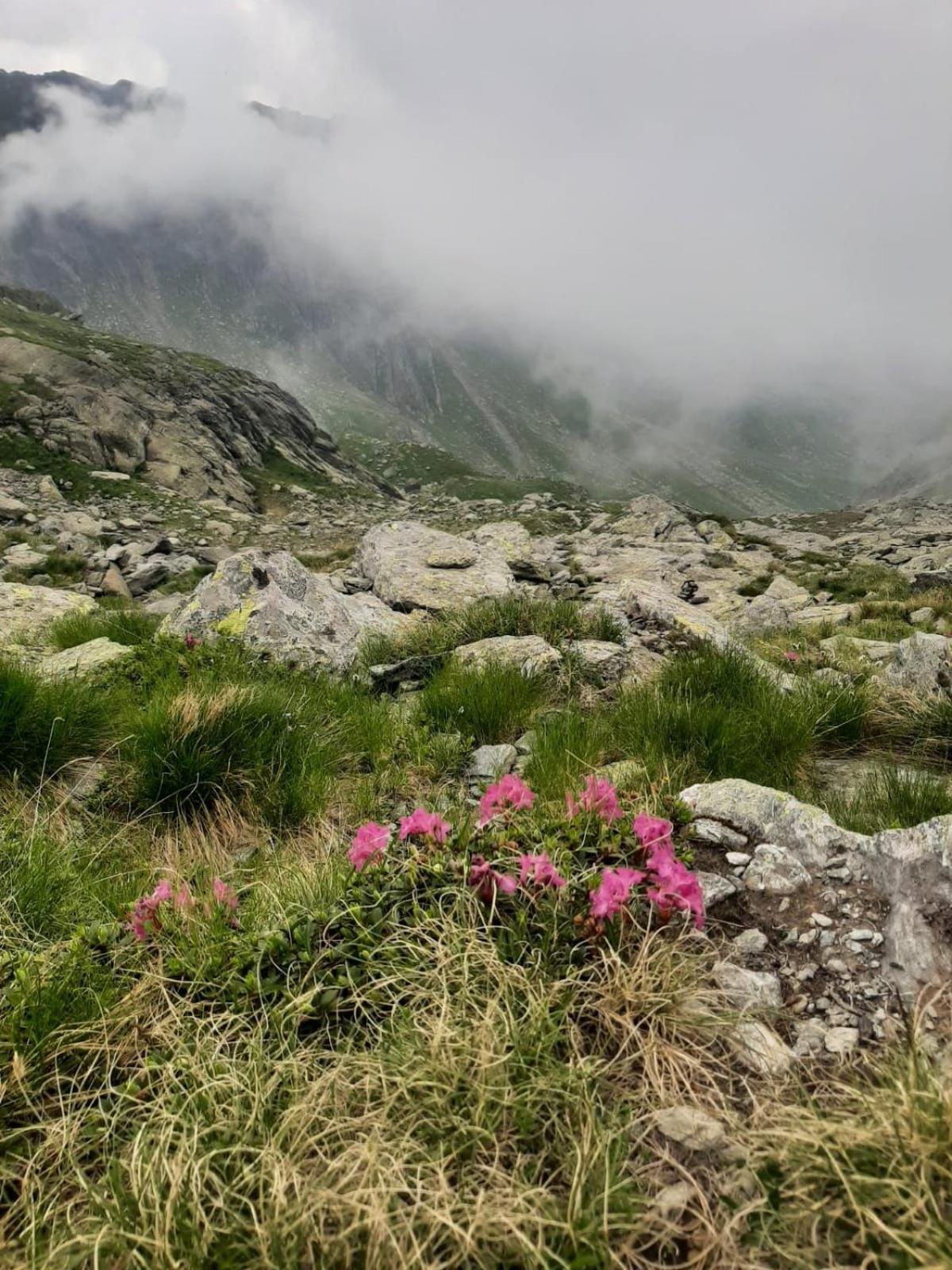 Casa Oaspeti Transfagarasan view 4