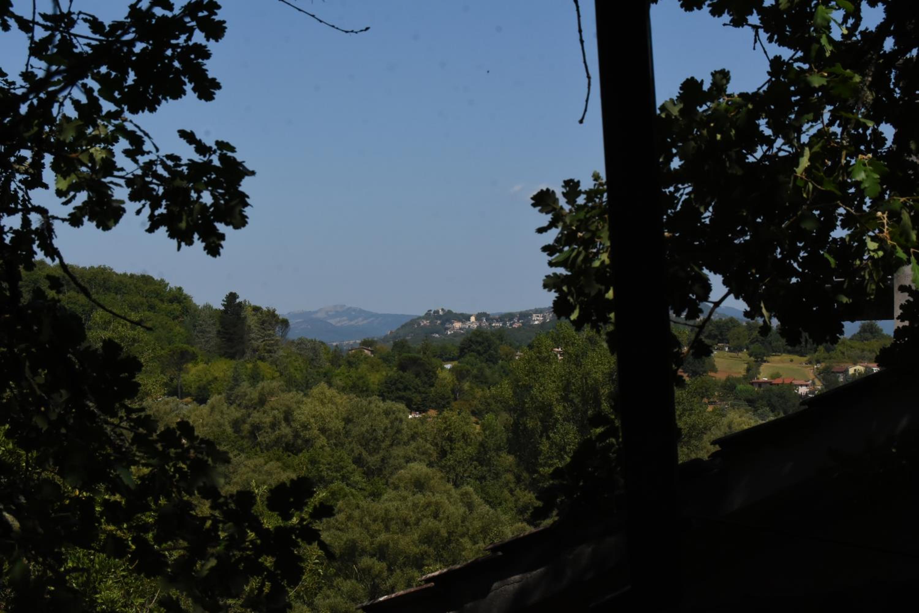 Photo 42