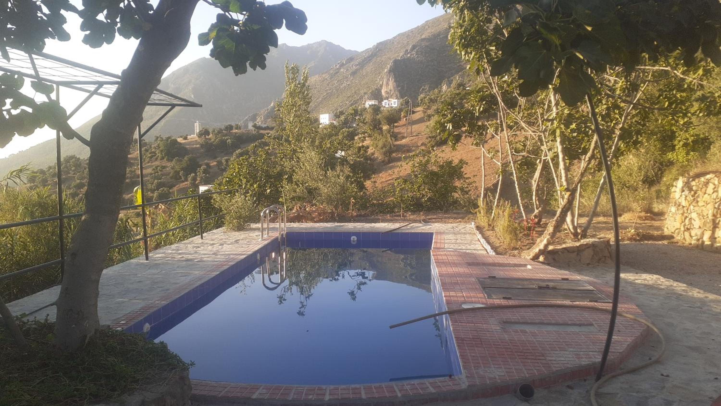 Dar Zeytoun Farmstay