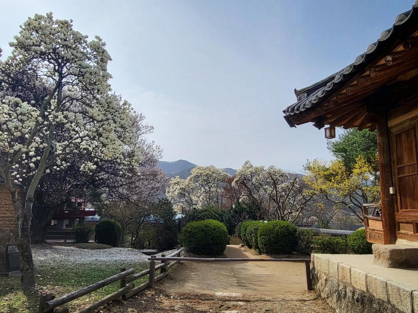 Hahoe Chunghyodang