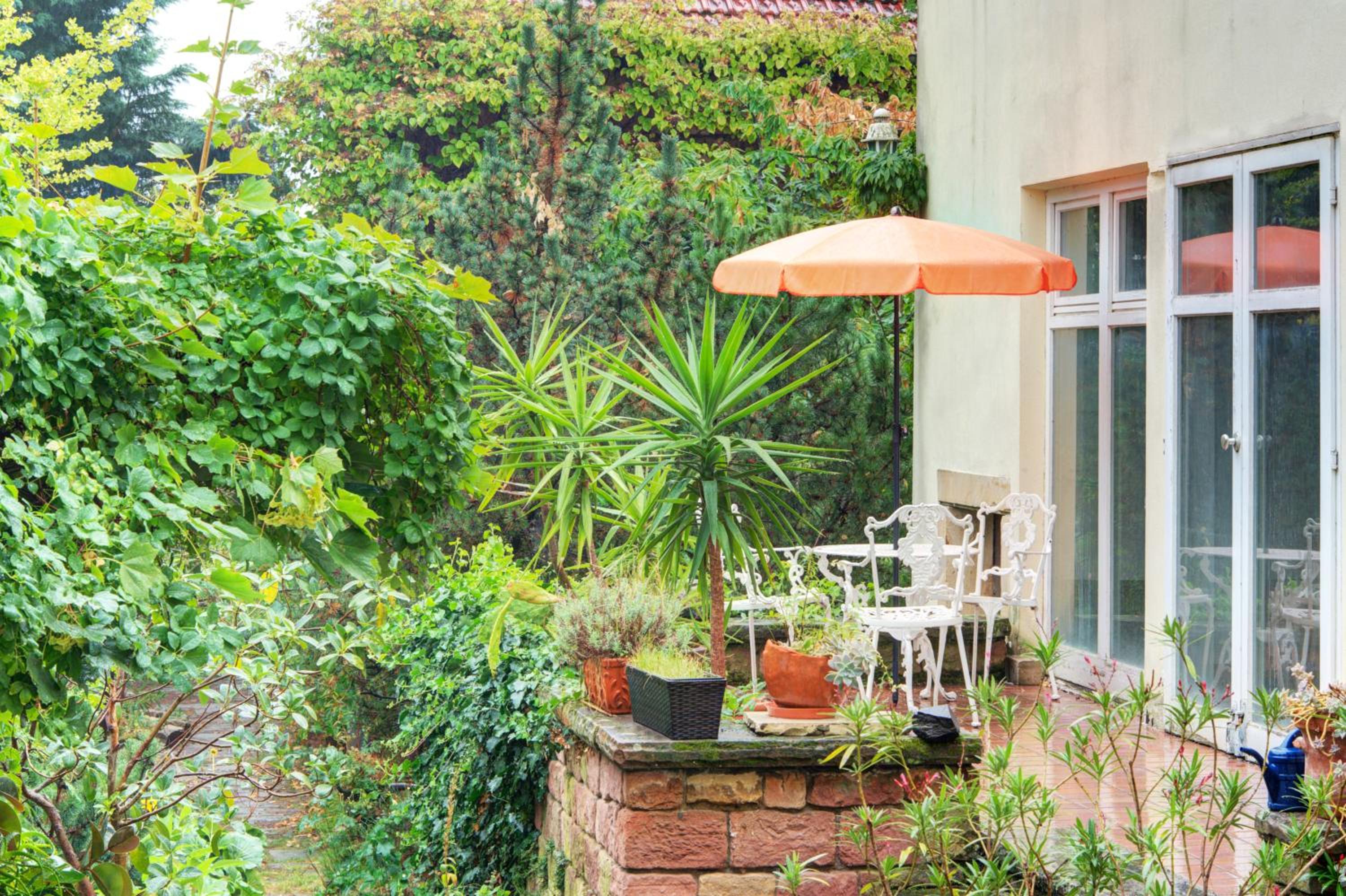 Charmante Altbauwohnung mit Gartenblick
