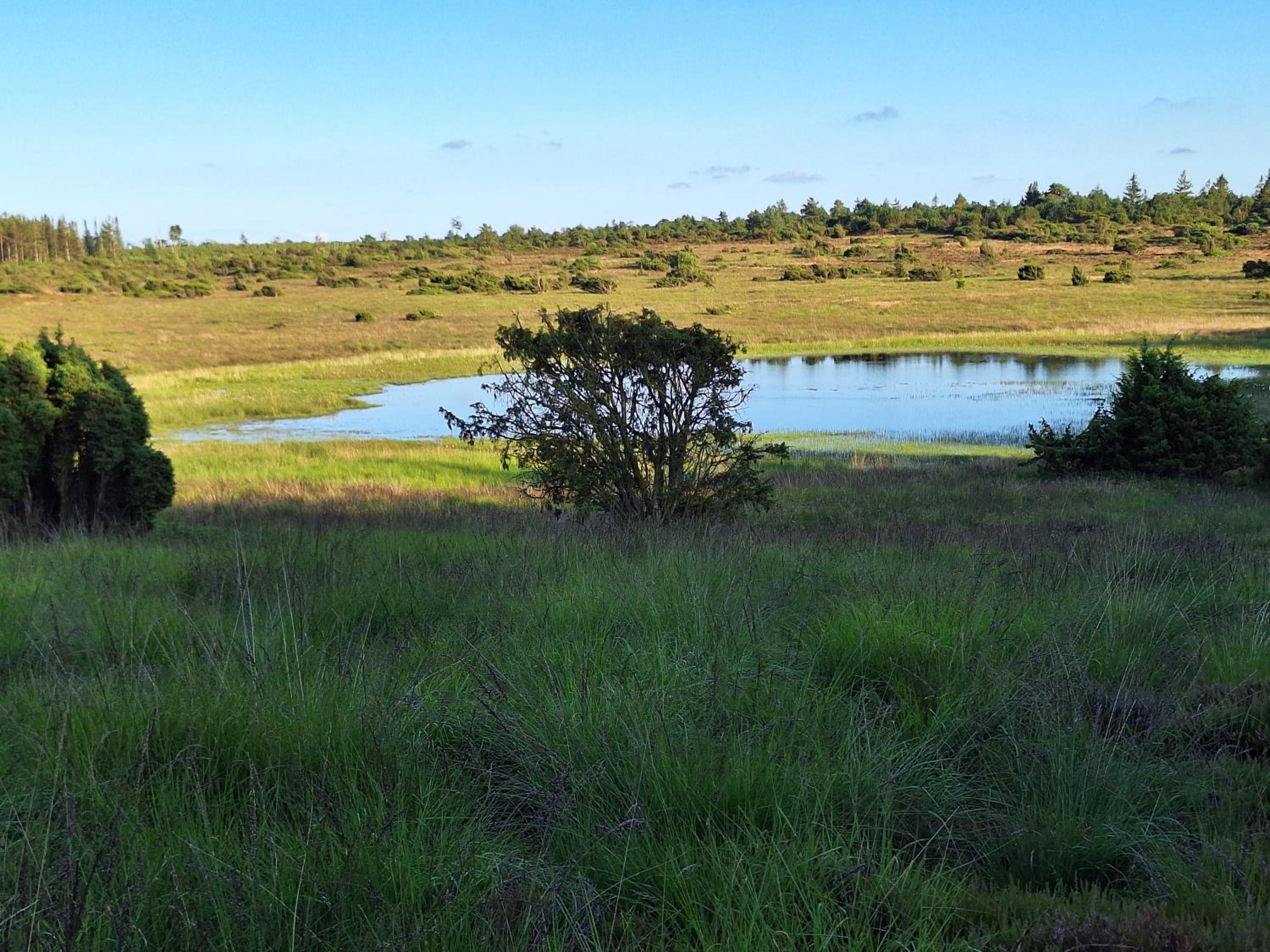 Rødsten Gæstegård