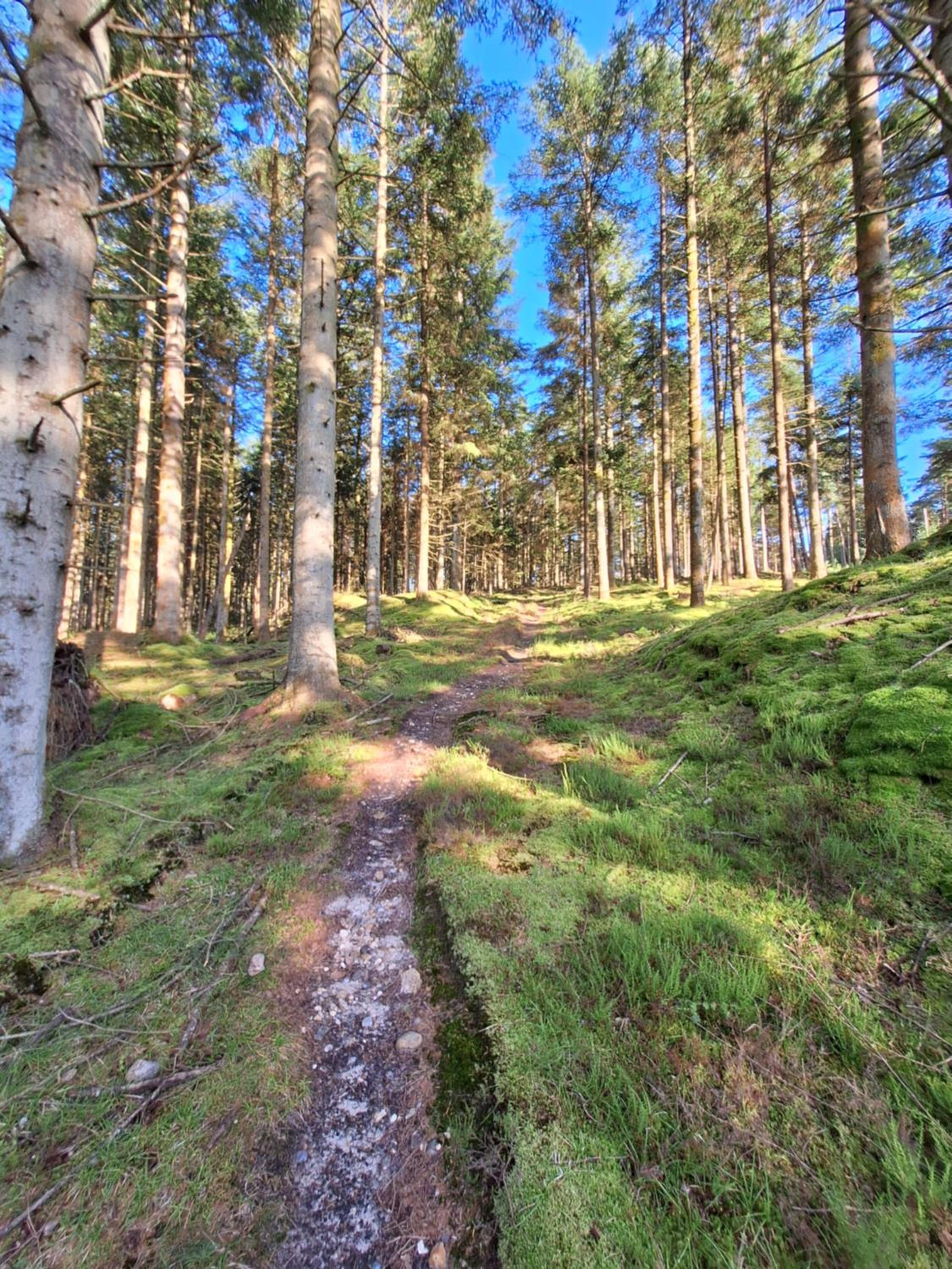 Rødsten Gæstegård