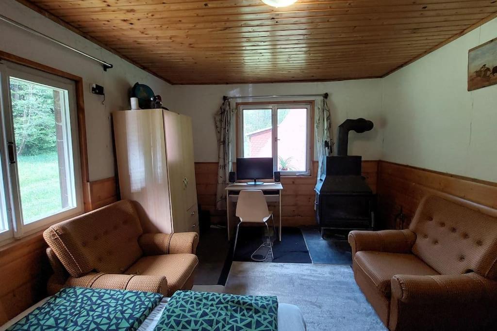 Off-Grid Cottage near river and forest!
